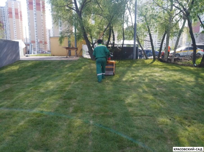 Рулонный газон Универсал