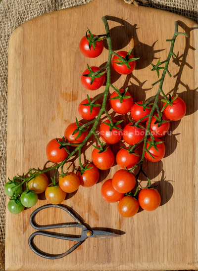 Томат Черри Аннабель, 10 шт