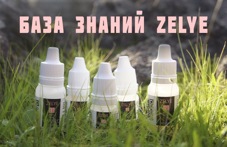 Лицензия и курс База знаний Зелье