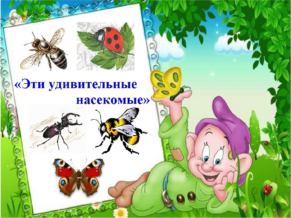 Презентация игра насекомые для дошкольников