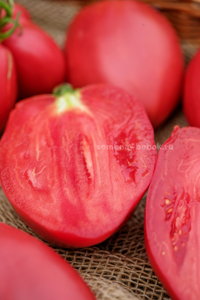 Томат Roșii de Prahova (Помидоры Прахова), 10 шт