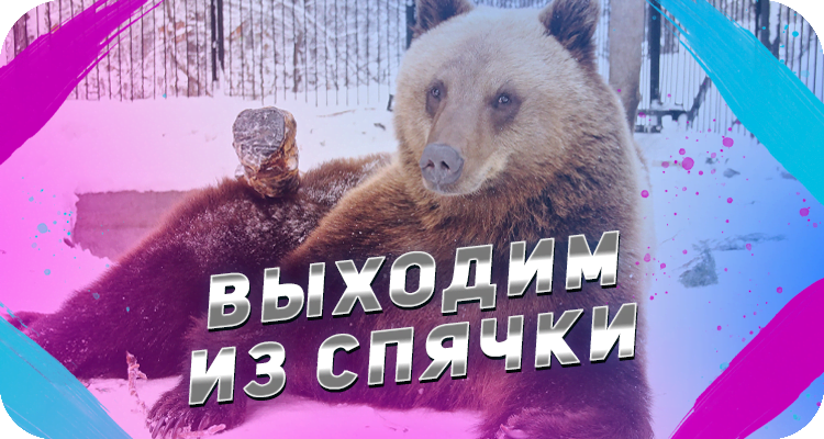 Как найти активность зимой