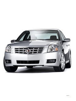 Коврики в салон Cadillac BLS