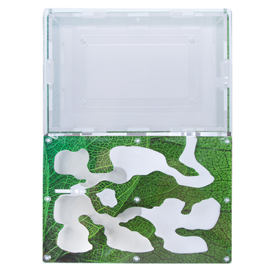 Муравьиная ферма 4ants Antrum L зеленый