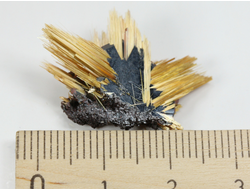 Редкость! Рутил свободного роста, сростки "звезды" золотистых игольчатых кристаллов на кристаллах гематита, Бразилия (28*20*8 мм, 2,5 г) №37917