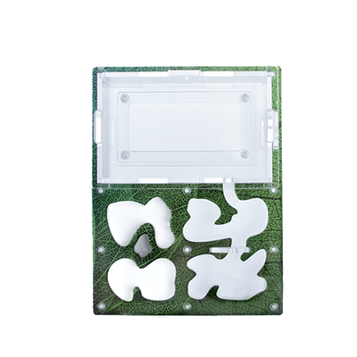 Формикарий 4ants комплект Antrum M зеленый + колония Messor Structor