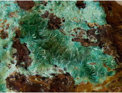 Розазит на породе (лимонит), Мексика (56*38*23 мм, 46 г) №20773