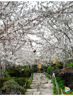 Крым на Майские с 1 по 9 мая