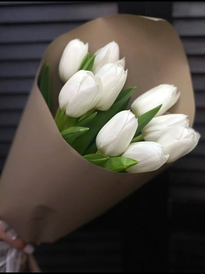Букет из 9 белых тюльпанов
