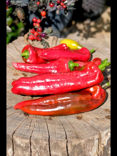 Перец сладкий Тронторолло, 10 шт