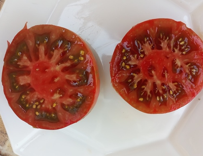 Томат Козула 127