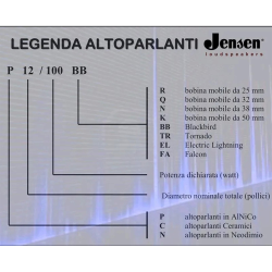 Jensen N12/100TR (4 Ом) - динамик гитарного кабинета