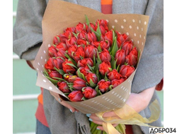 Букет красных пионовидных тюльпанов Zoi