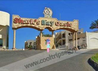 Sharks Bay Oasis 3*
