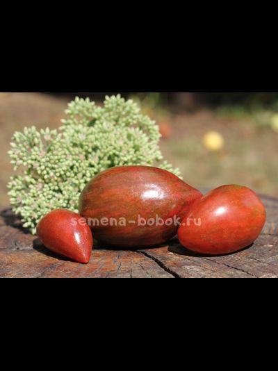 Томат Дикий коричневый кабан (Wild boar brown), 10 шт.