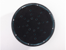 Накладка обеспыливания для шлифблока (5 шт) Lossew Q4 Aer Disk 225