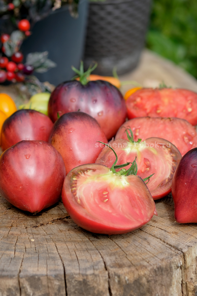 Томат Вишневый Сироп, 10 шт