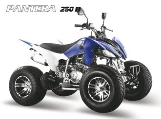 Спортивный квадроцикл Pantera 250 B