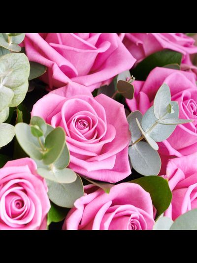 11 розовых роз с эвкалиптом