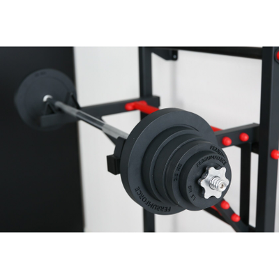 Шведская стенка Ferrum Force FR5 купить в Воронеже