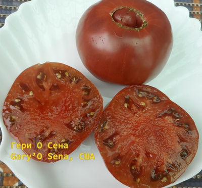 Томат Гари о Сена (Gary'O Sena)