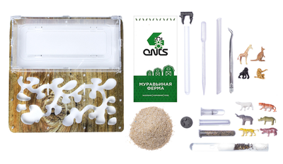 Комплект муравьиной фермы 4ants Antrum XL дерево  с муравьями Messor Structor
