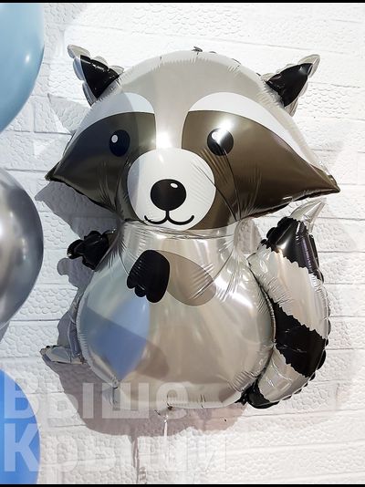 Лесной енот