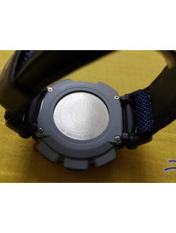 Часы Casio Pro Trek PAG-240B-2