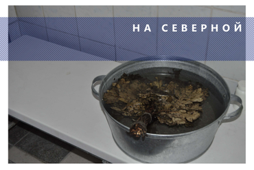 Общественные отделения на северной