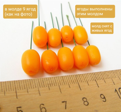 "Облепиха" Силиконовый молд