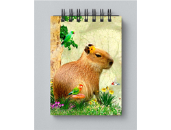 Блокнот Капибара, Kapibara-san №20