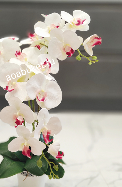 Композиция из искусственных цветов, Орхидея белая с розовым кашпо малое  № ОР006