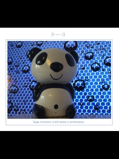 Видеоняня Panda WiFi-LAN видеокамера с DVR , HD (MIPC)