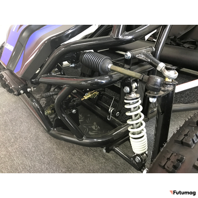 Багги SCANMOTO RAPID II