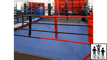 Ринги на упорах