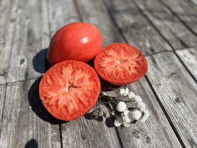 Томат Сердце Луиджи (Cuore di bue Luigi), 10 шт.