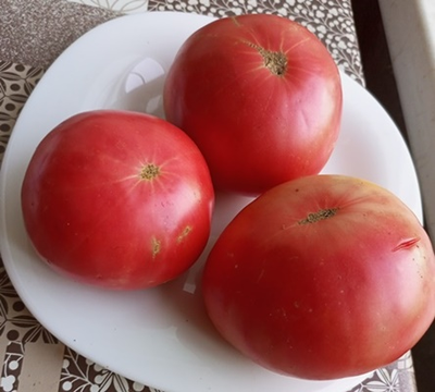 Томат Царский подарок