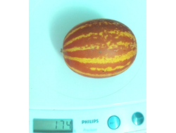 Вьетнамская дыня Подарок дедушки Хо Ши Мина