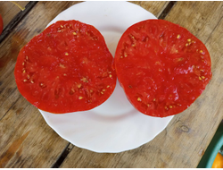 Томат Канадский великан