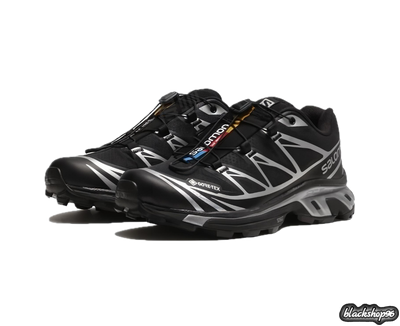 SALOMON XT-6 Winter Gore-Tex Silver (40-44)
