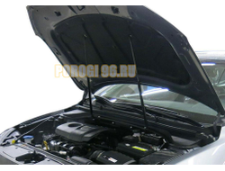 Амортизаторы капота, 2 шт. АвтоУпор для Hyundai Elantra VI 2016-2018