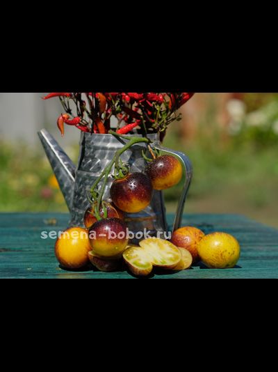 Томат Stripes of Yore (Страйпс оф Йор), 10 шт