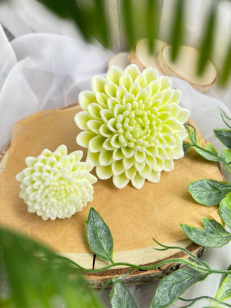 ХРИЗАНТЕМА