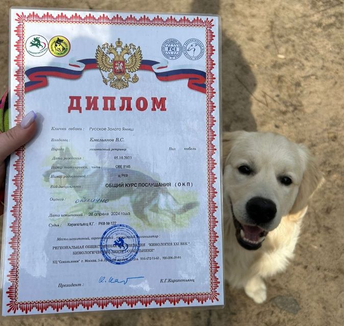 Наш выпускник Русское Золото Ямиш сдал норматив ОКП на отлично