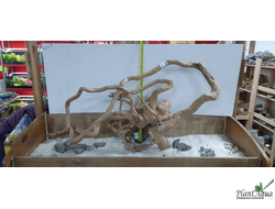 Фотографирование 1 позиции (3 товара данной позиции на выбор)