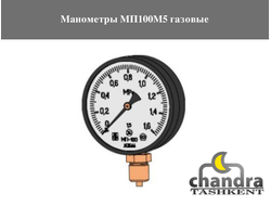 Манометры МП100М5 газовые