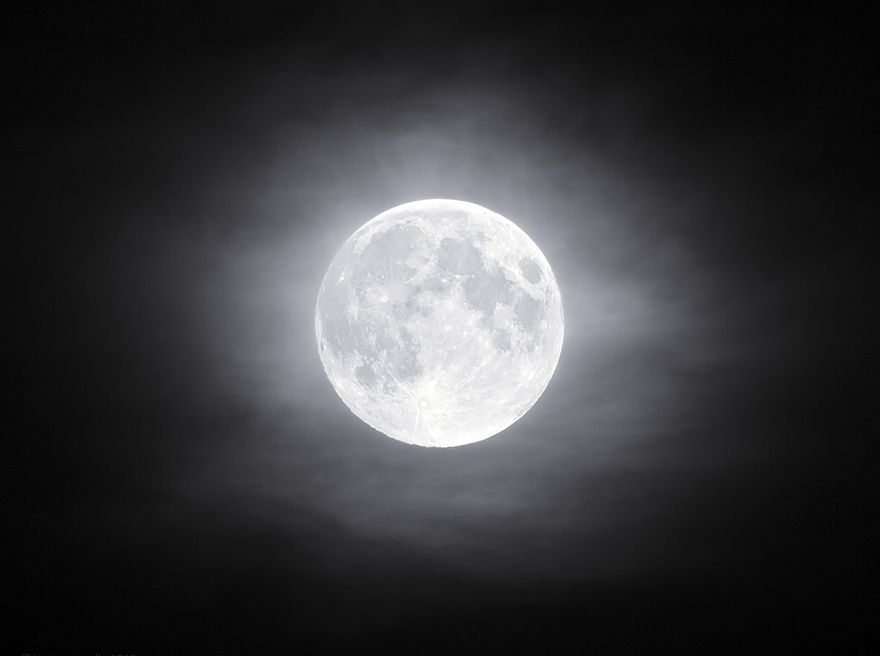 Белая Луна Картинки – Telegraph