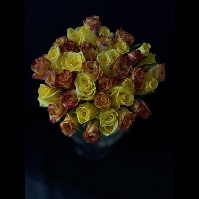 Роза Кения 25 шт