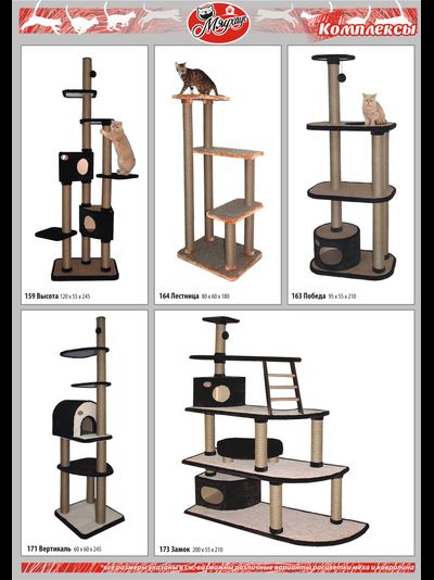 №163 Игровой комплекс Победа