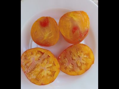 Томат Жёлто розовый жемчуг (Pearl's Yellow Pink, США)